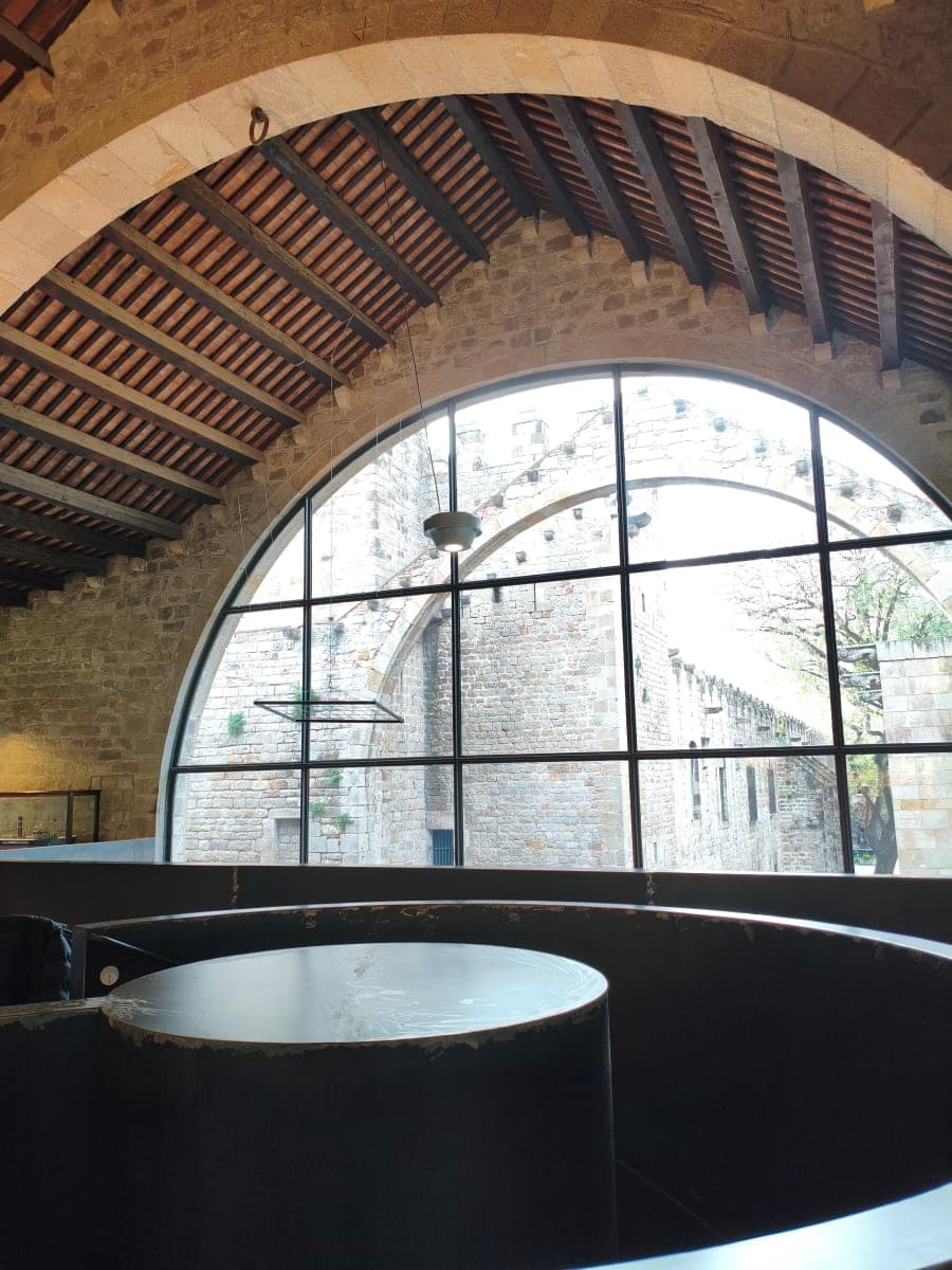 Ratolí de museu